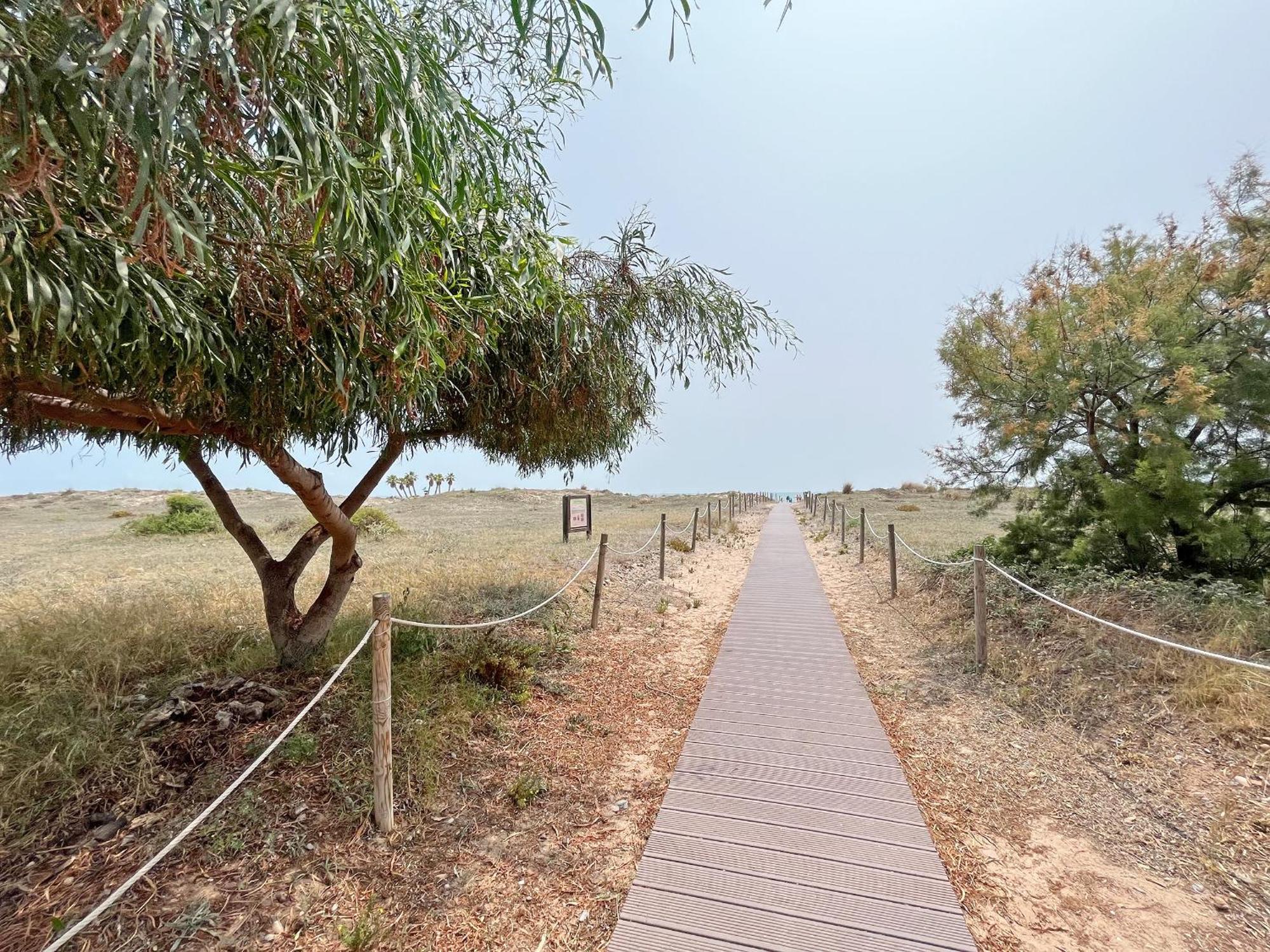 Global Properties, Apartamento En Primera Linea De Playa En Canet Canet d'En Berenguer Extérieur photo